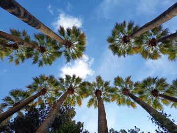 Athens National Garden Eco-guided Walk: A Nature Escape in the Heart of the City