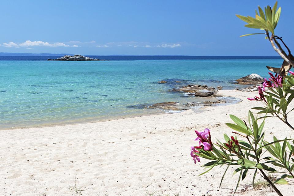 Halkidiki/Sithonia Swim, Sunset & Olive Tour