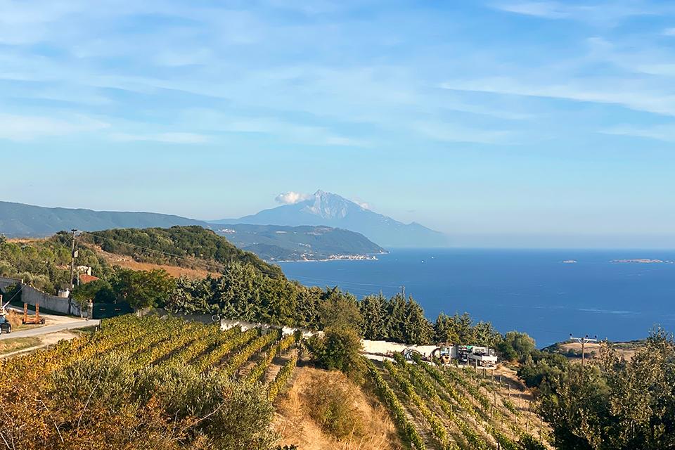 Halkidiki, Arnaia, Ierissos – Swim & Tasting