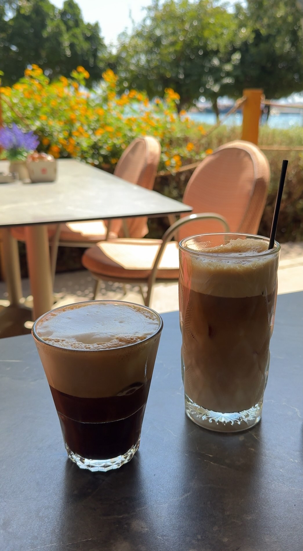 Half Day Local Living Wellness Retreat