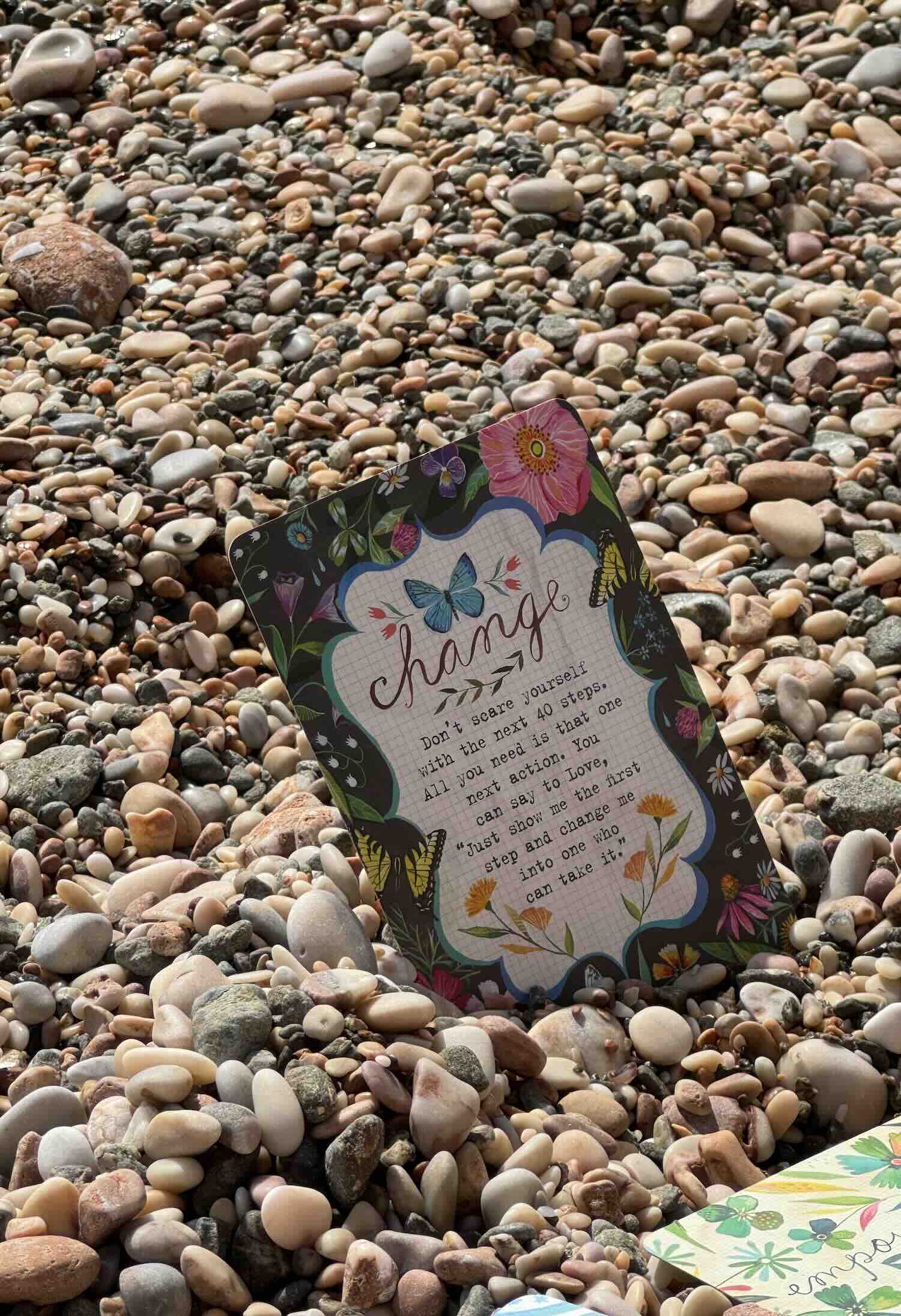 Half Day Local Living Wellness Retreat