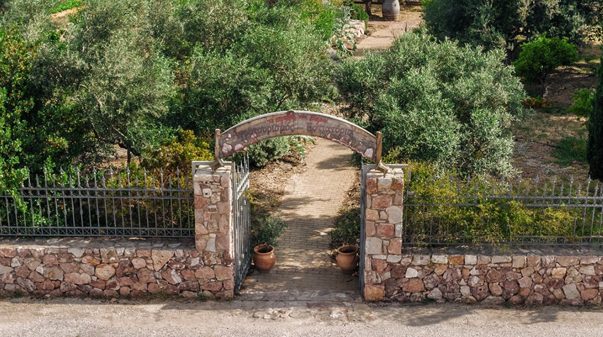 Boutique Olive Oil Tasting & Farm-to-Table Lunch