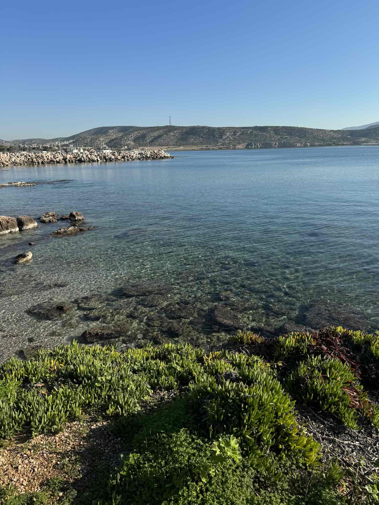 Half Day Local Living Wellness Retreat