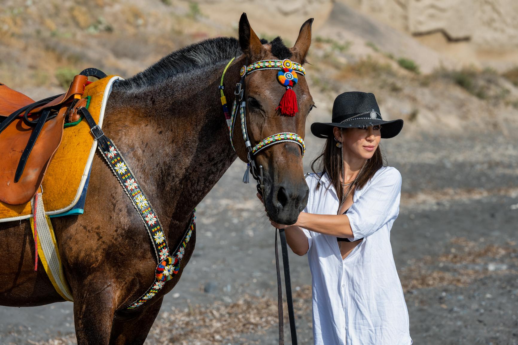 Santorini: Horse & Donkey Riding Through Volcanic Landscapes