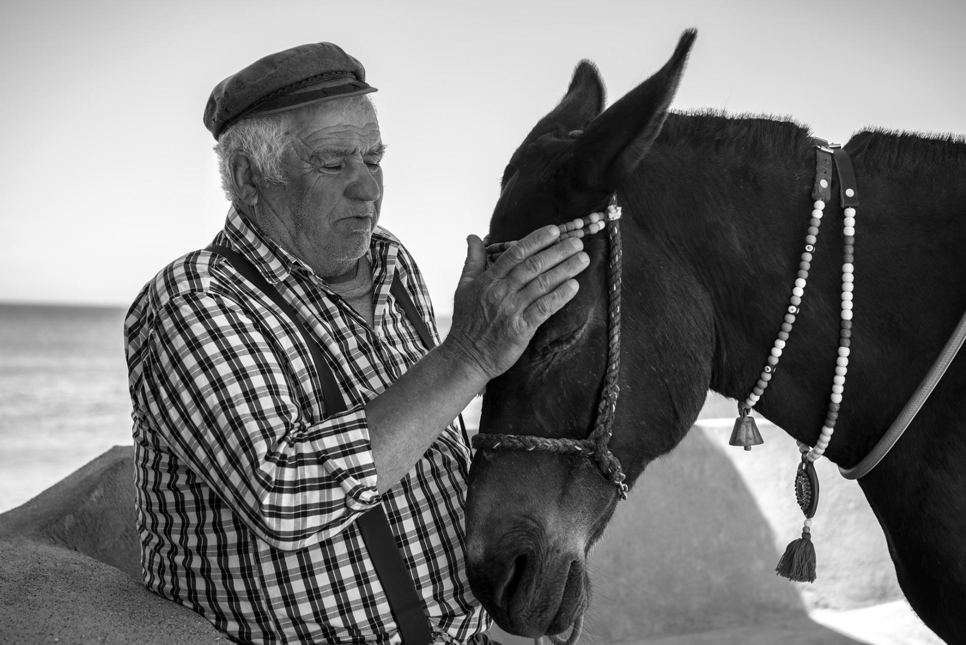 Santorini: Horse & Donkey Riding Through Volcanic Landscapes