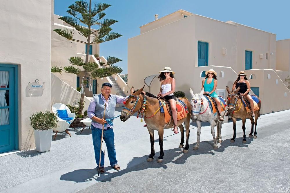 Santorini: Horse & Donkey Riding Through Volcanic Landscapes