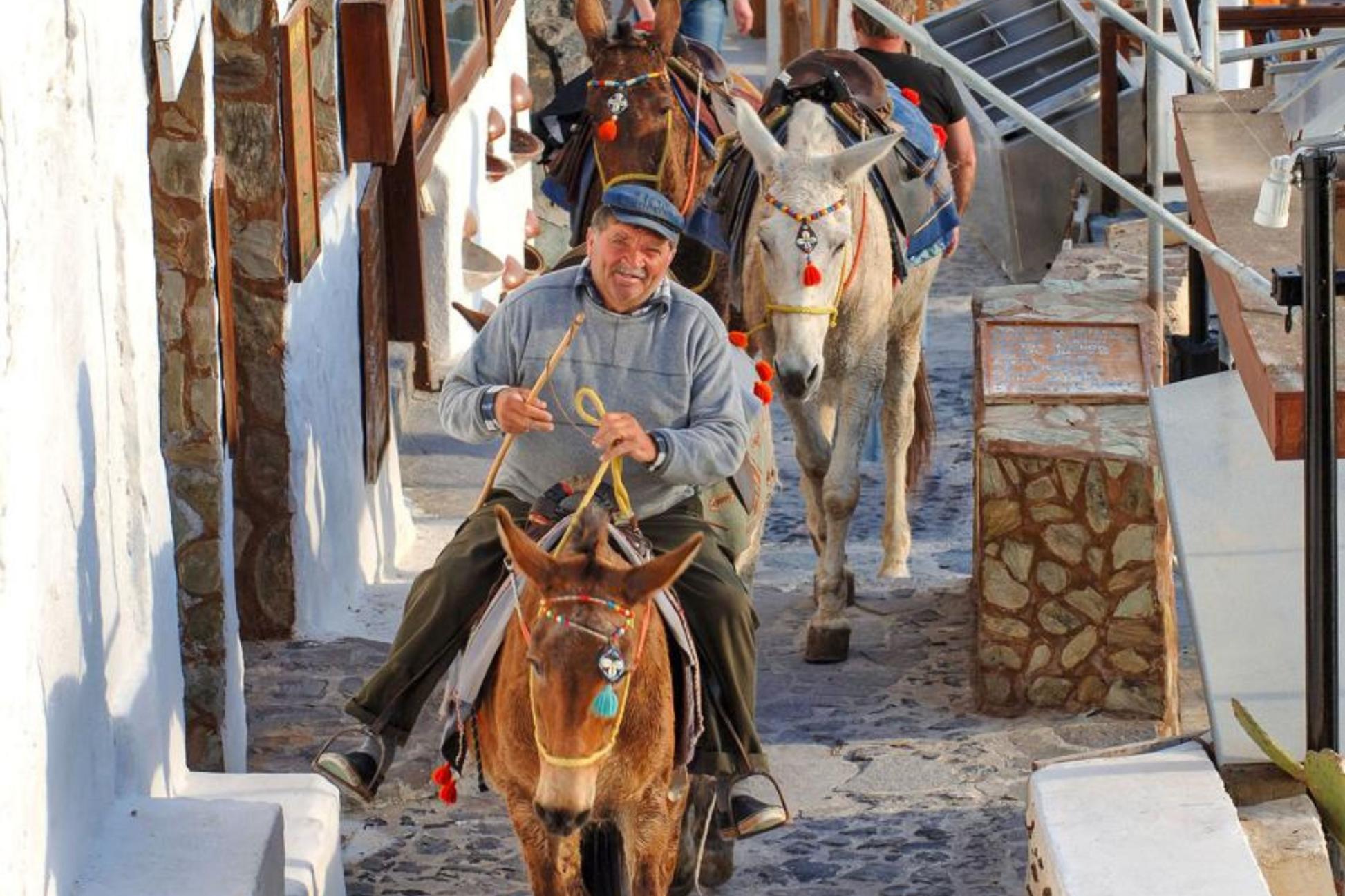 Santorini: Horse & Donkey Riding Through Volcanic Landscapes