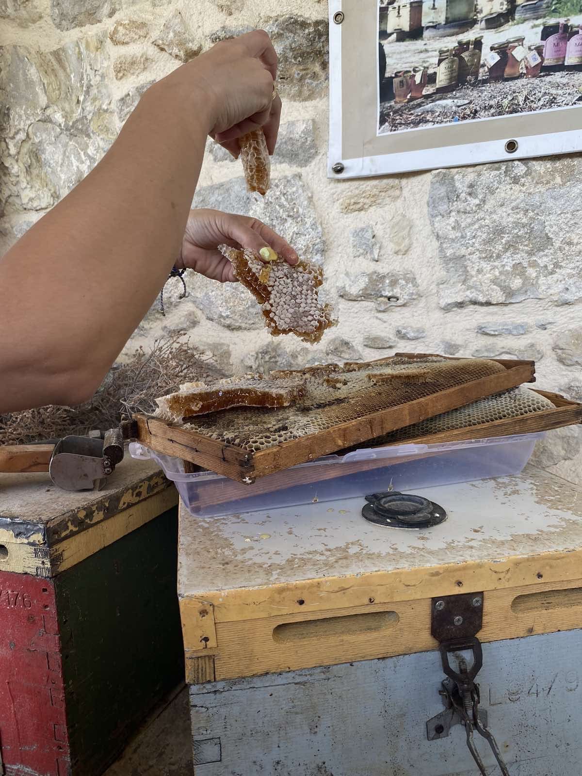 Half Day Private Kolymbari Tradition Tour | Olive, Honey & optional Winery Tasting