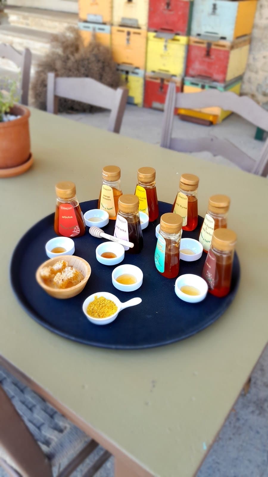 Half Day Private Kolymbari Tradition Tour | Olive, Honey & optional Winery Tasting