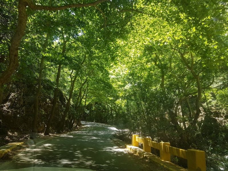 Half Day Private Tour at Botanical Garden & Scenic Therisso Gorge
