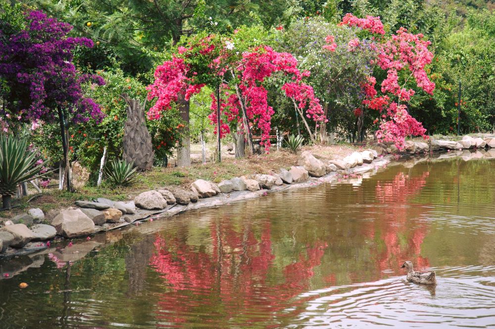 Half Day Private Tour at Botanical Garden & Scenic Therisso Gorge