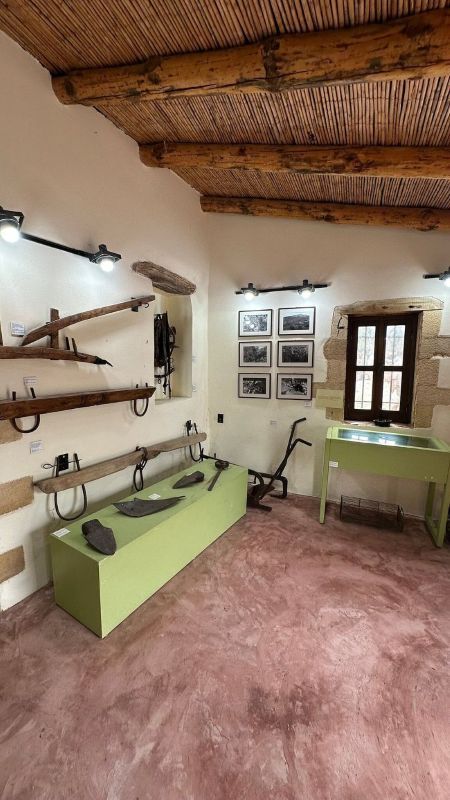 Half Day Private Kolymbari Tradition Tour | Olive, Honey & optional Winery Tasting