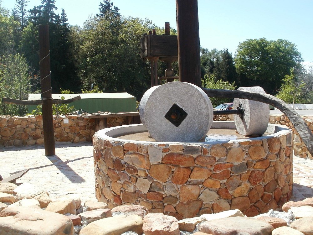 Half Day Private Kolymbari Tradition Tour | Olive, Honey & optional Winery Tasting