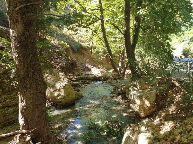 Half Day Private Tour at Botanical Garden & Scenic Therisso Gorge