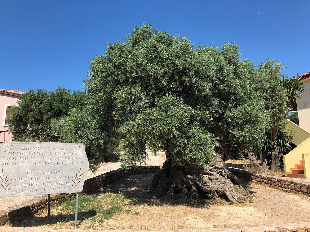 Half Day Private Kolymbari Tradition Tour | Olive, Honey & optional Winery Tasting
