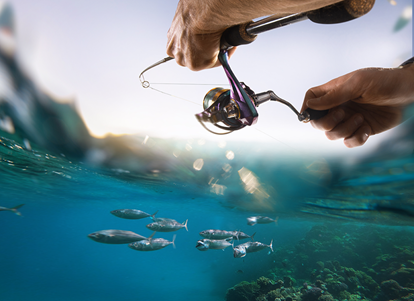 Fishing Trip with a guide