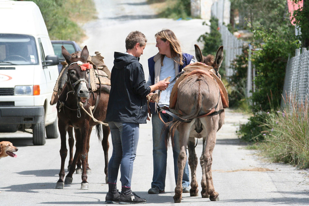 Country Ride