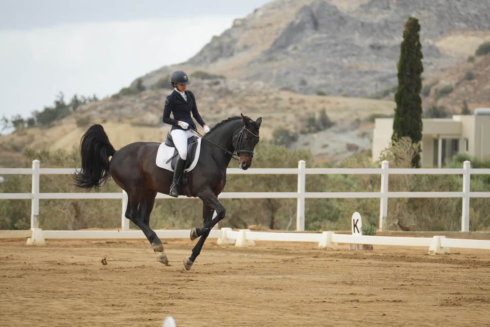 Horse Riding Lesson