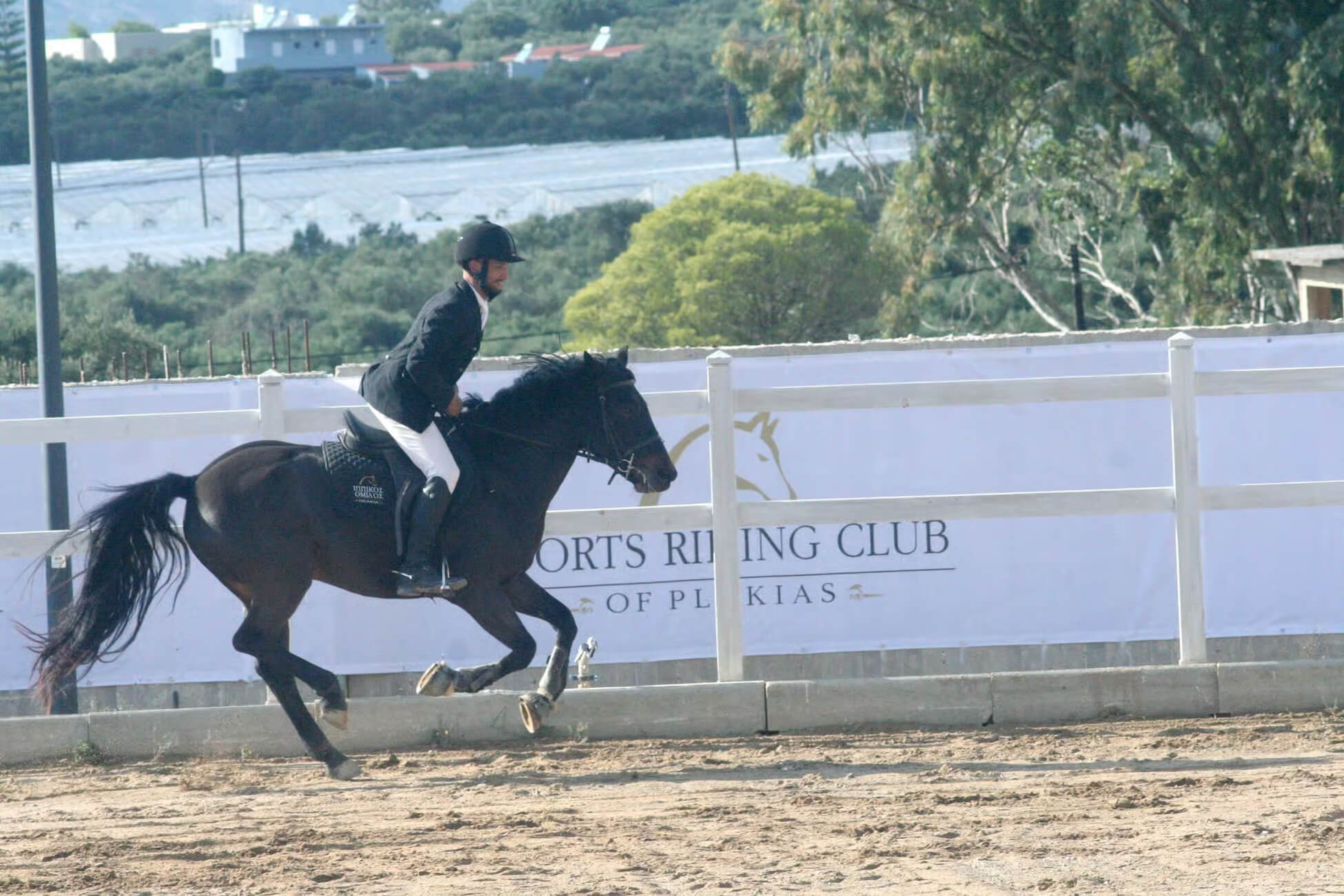 Horse Riding Lesson