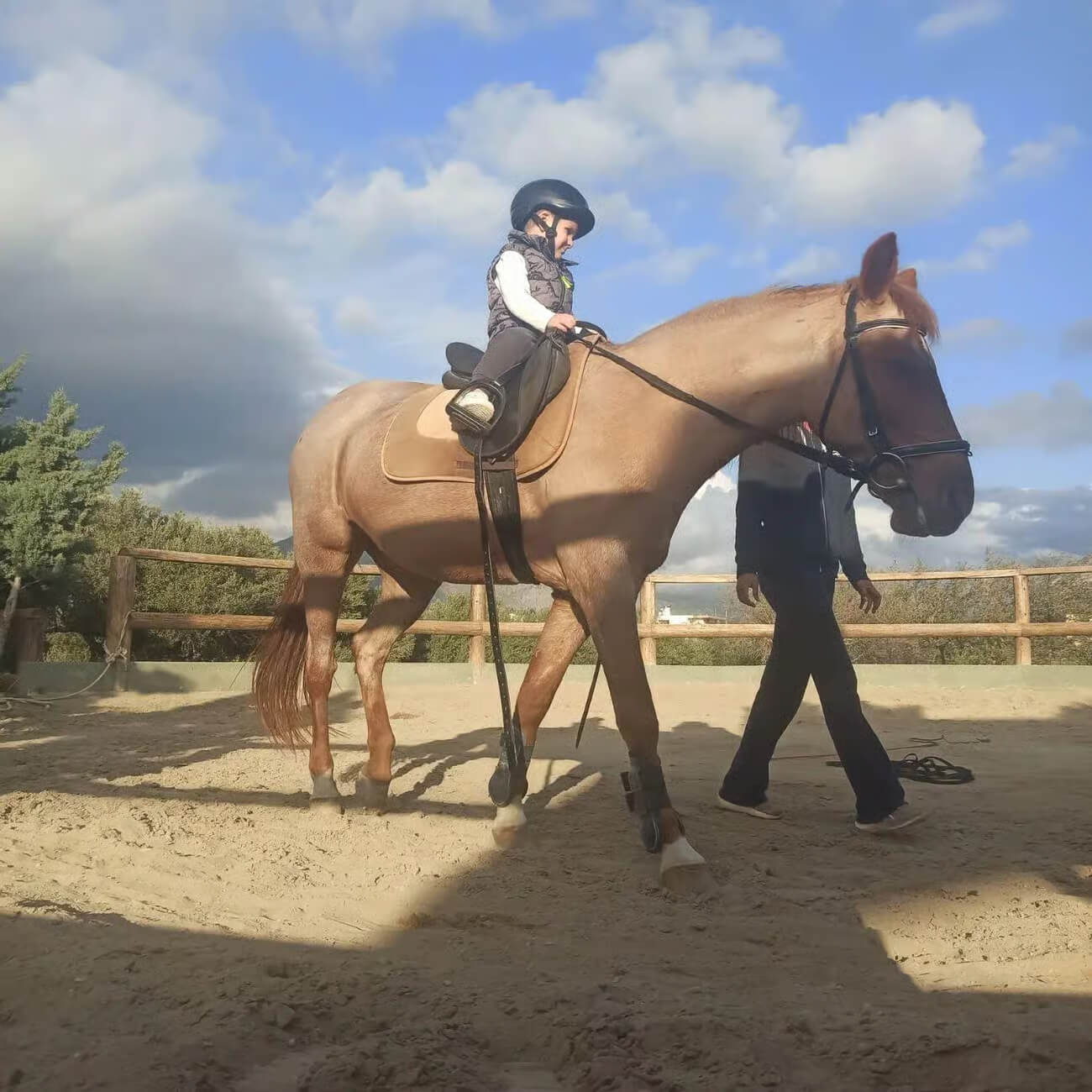 Horse Riding Lesson