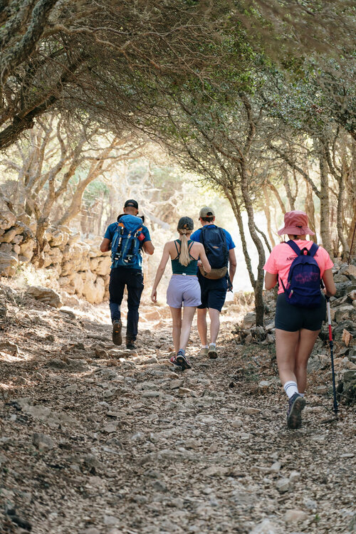 Hiking - Pan's Route - Shared