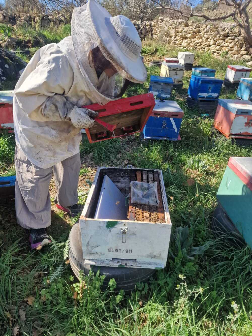 From Soil to Soul: A Cretan Mountain Experience