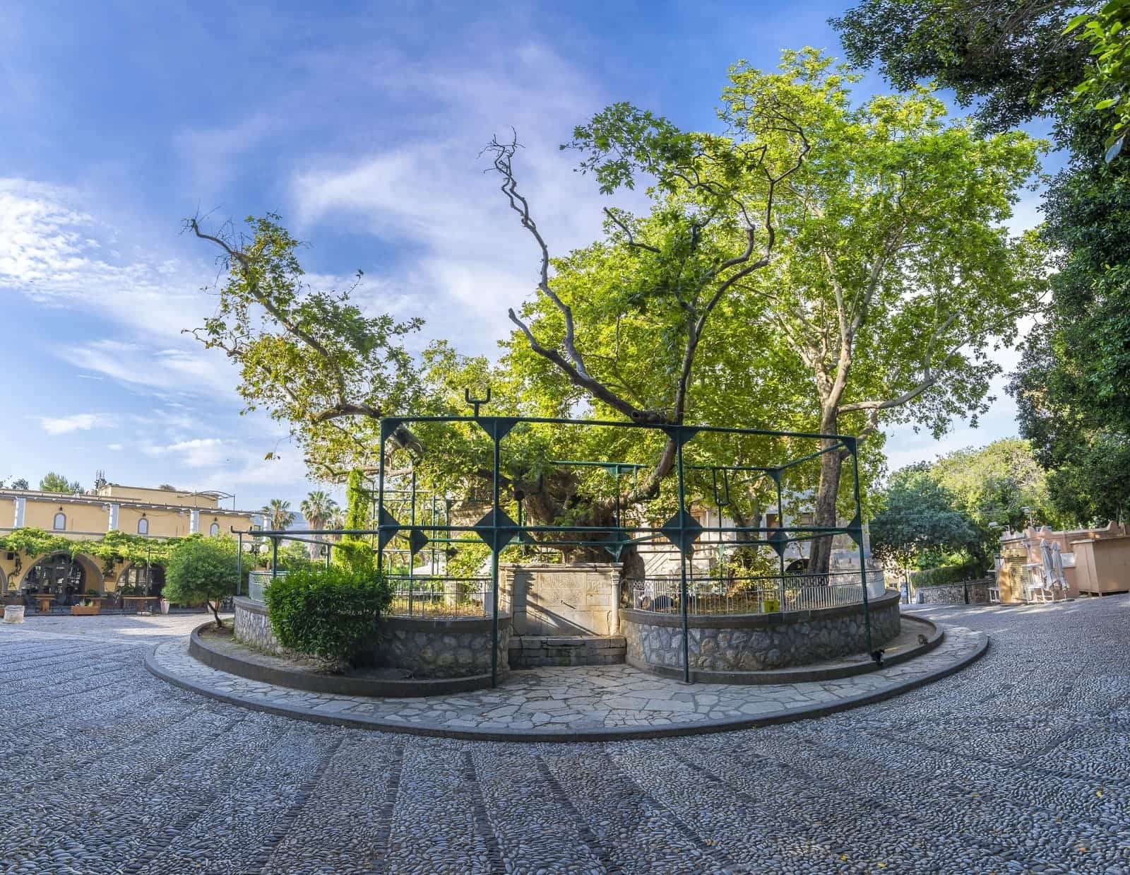 City Tour in Kos – Experience History, Discover the Beauty!