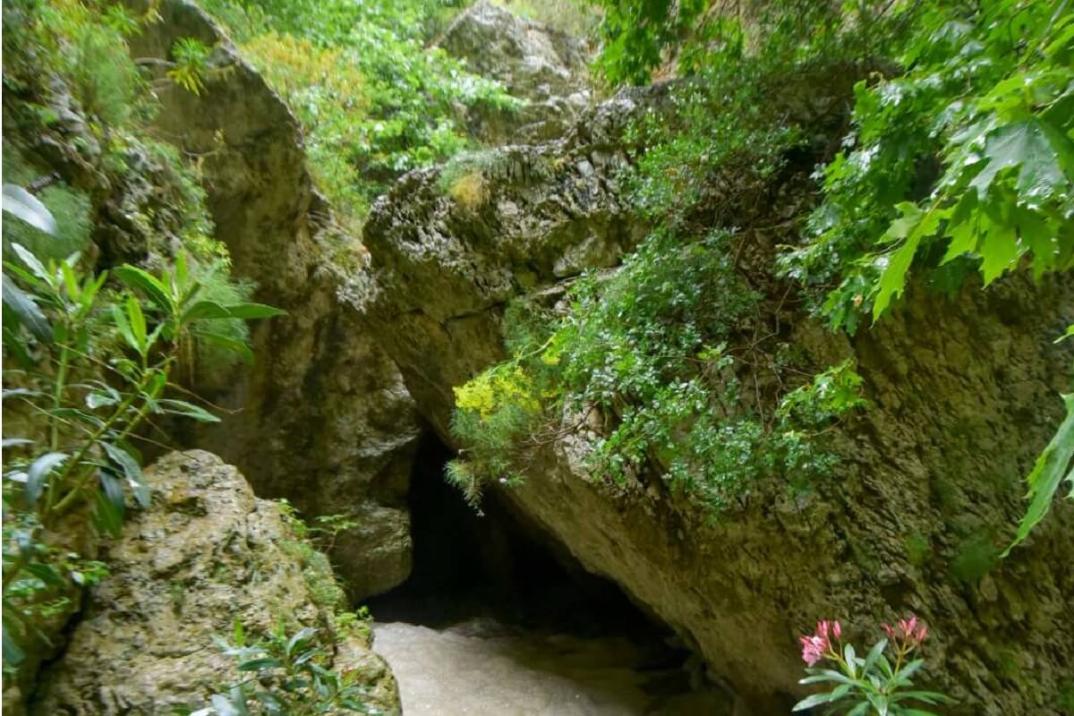 Private Patsos Gorge Trekking Adventure