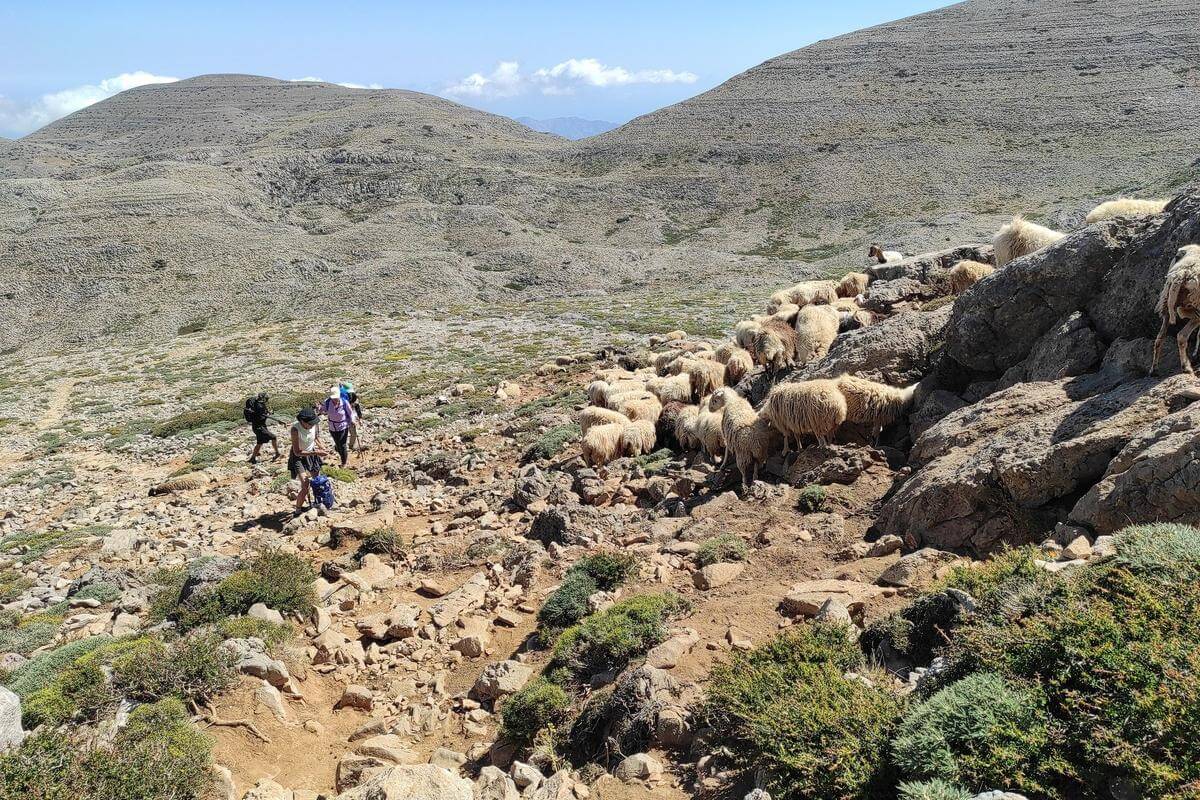 Private Trekking Psiloritis Summit