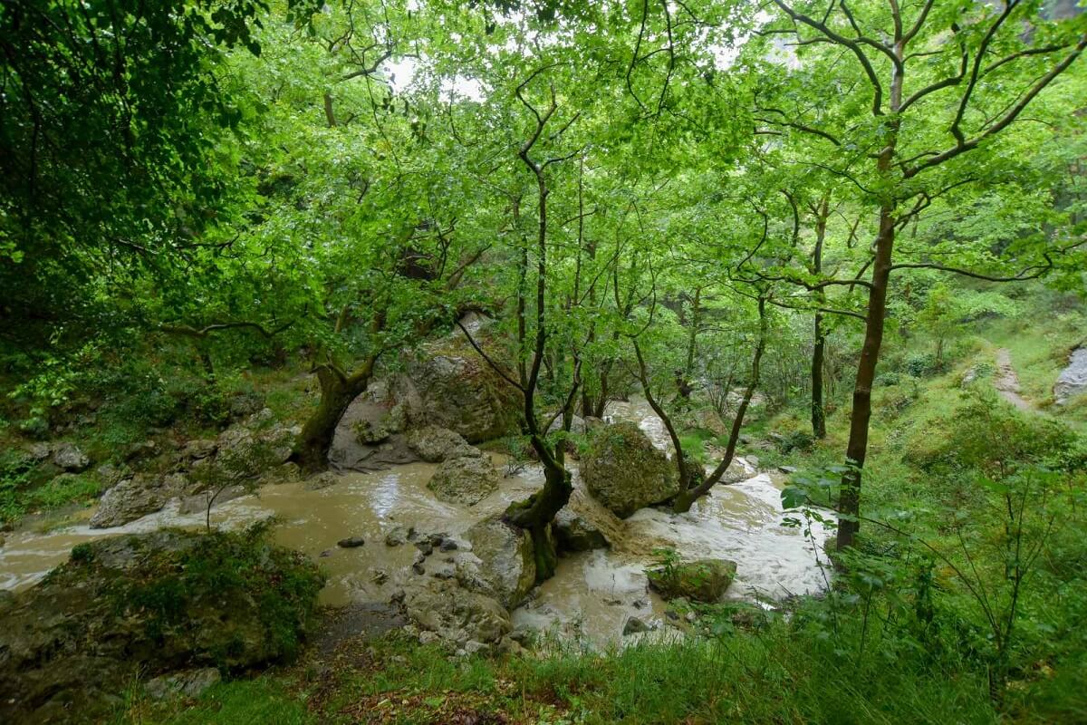 Private Patsos Gorge Trekking Adventure