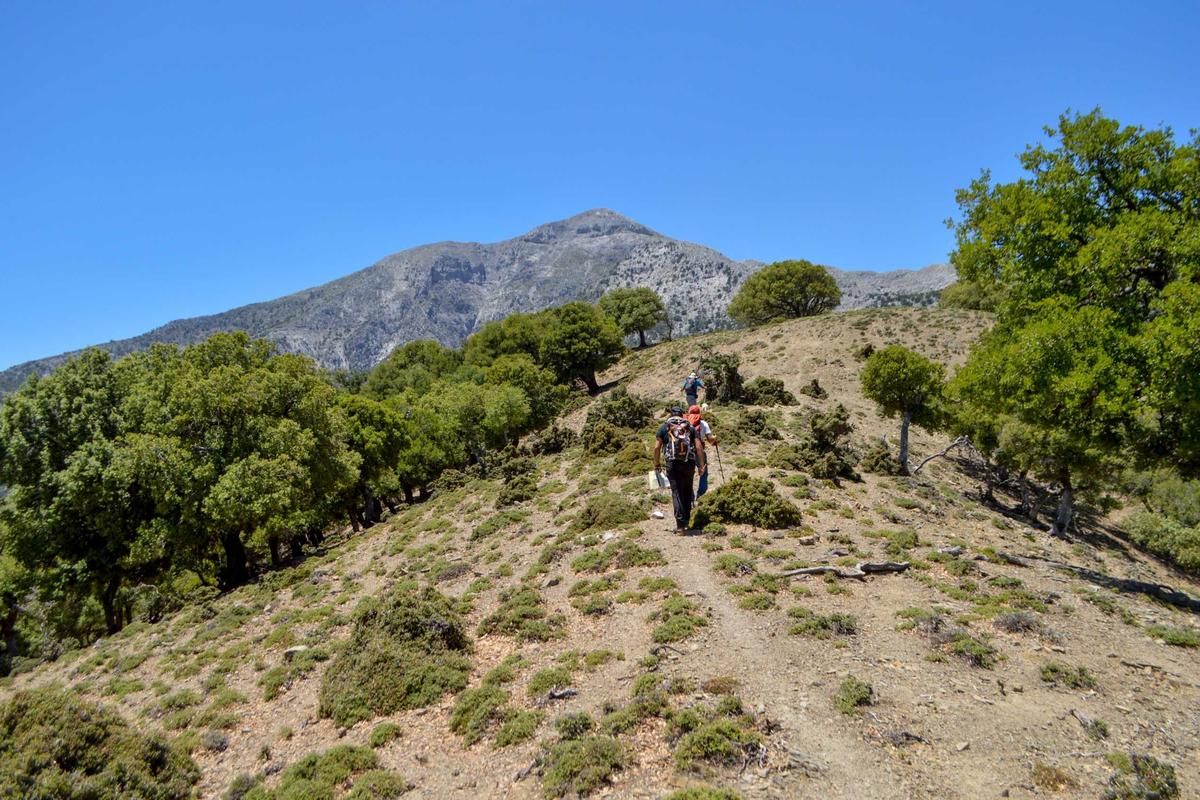 Private Trekking Rouvas Gorge
