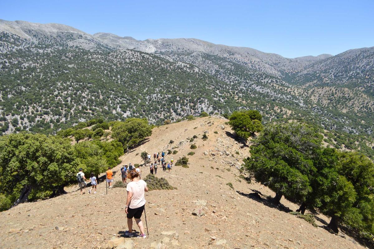 Private Trekking Rouvas Gorge