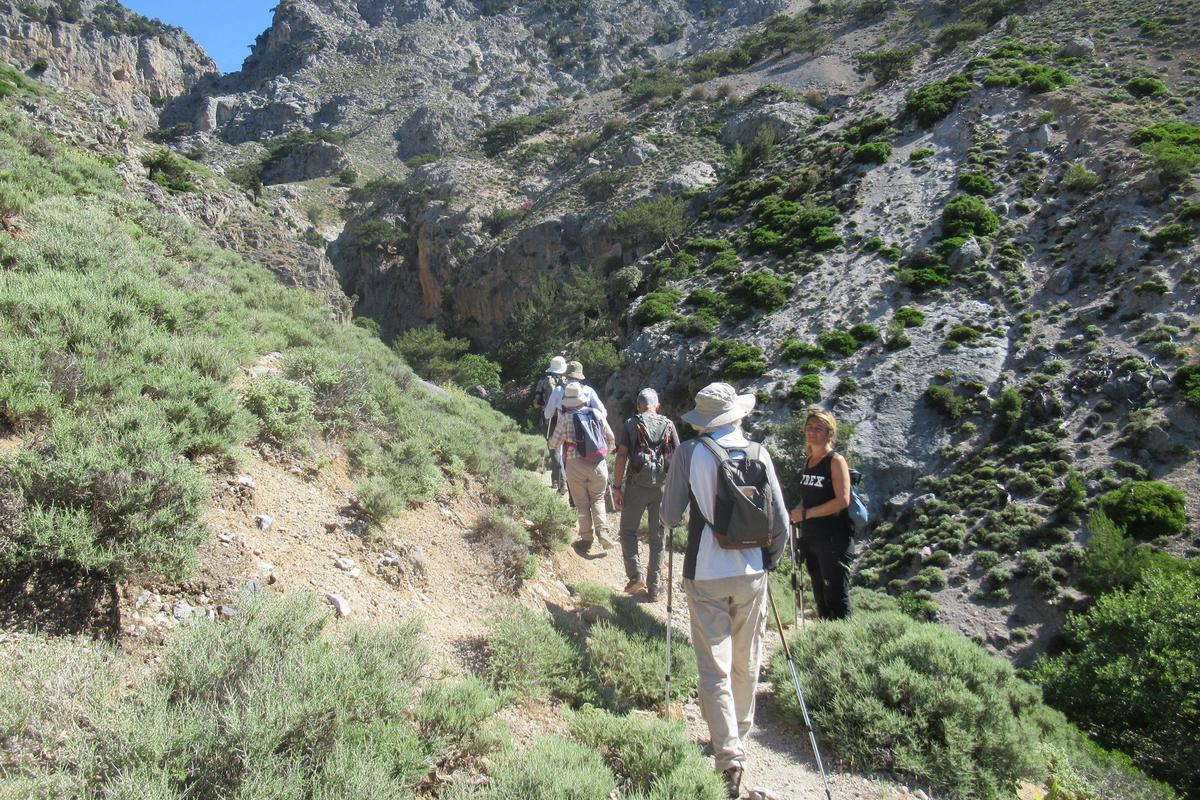 Private Trekking Rouvas Gorge