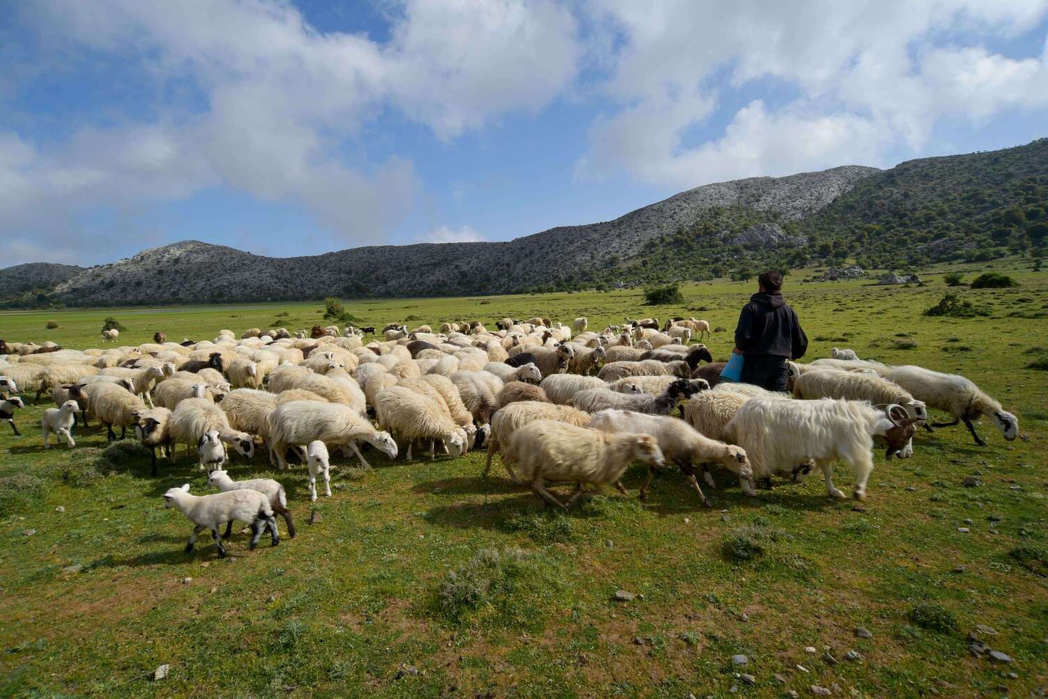 Private Jeep Tour to Viannos, Omalos Forest & Myrtos Beach