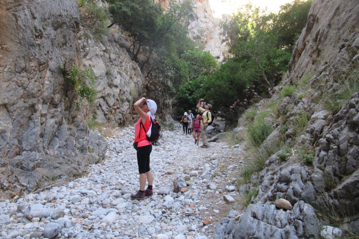 Private Trekking Kritsa Gorge Voulisma Beach