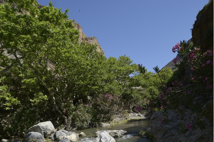 Private Kourtaliotis Gorge Trekking Adventure