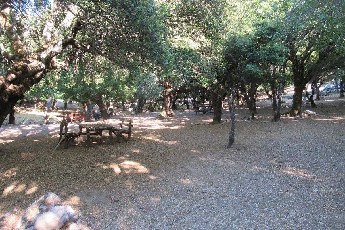 Private Trekking Rouvas Gorge