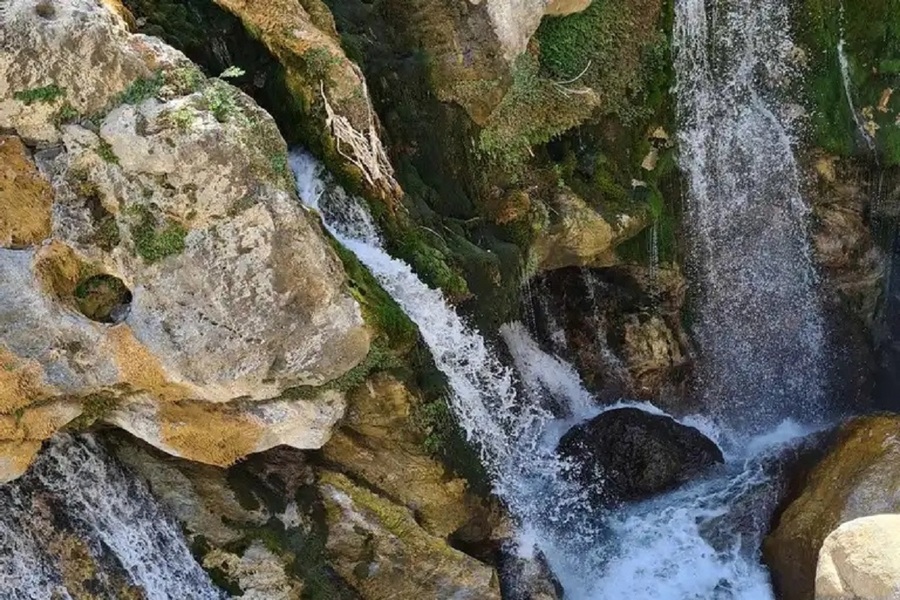 Private Kourtaliotis Gorge Trekking Adventure