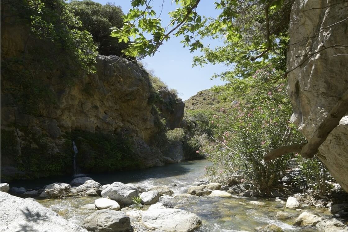 Private Kourtaliotis Gorge Trekking Adventure