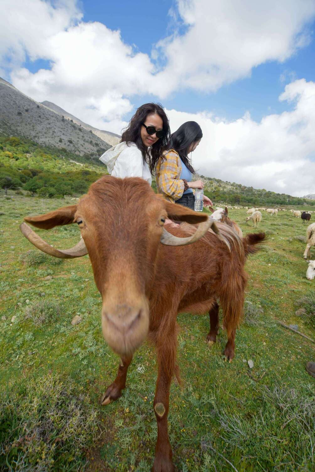 Private Jeep Tour to Viannos, Omalos Forest & Myrtos Beach