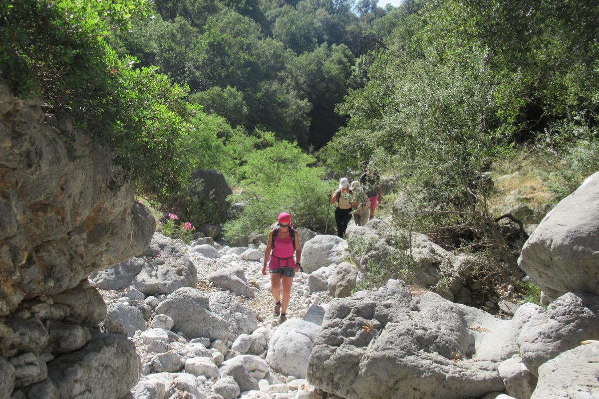 Private Trekking Kritsa Gorge Voulisma Beach
