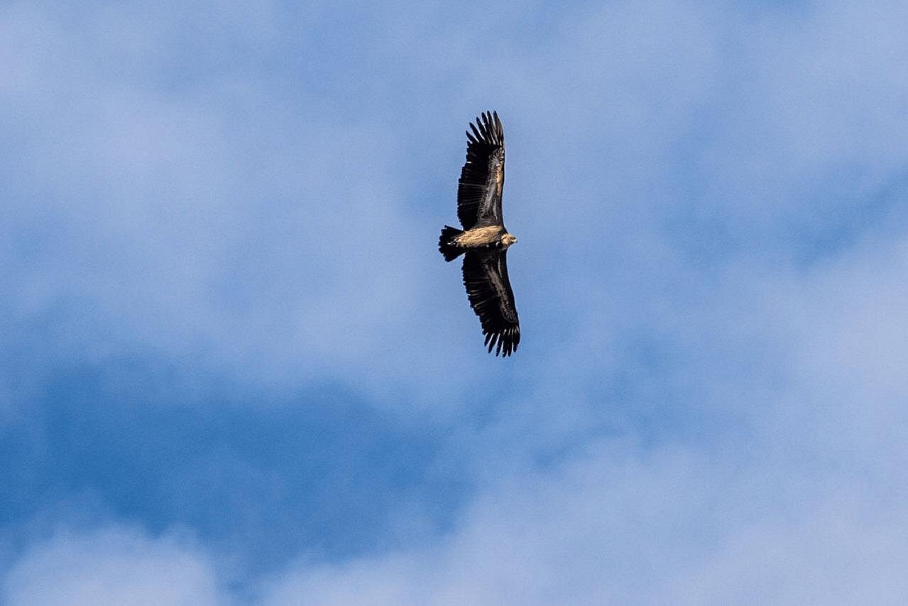 Jeep Tour to Lasithi Plateau, Zeus Cave, Olive Oil Factory