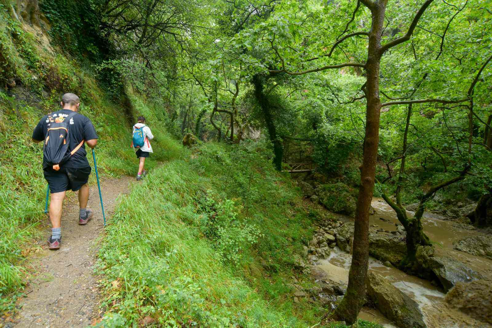 Private Patsos Gorge Trekking Adventure