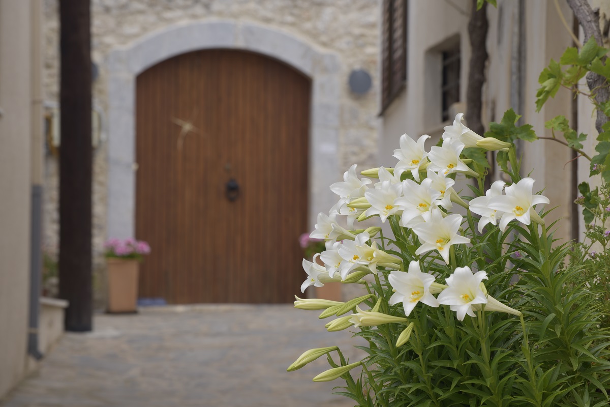 Private Trekking Kritsa Gorge Voulisma Beach