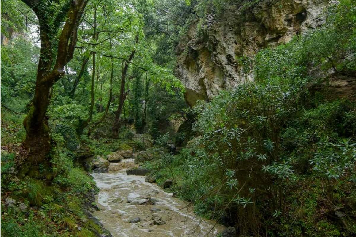 Private Patsos Gorge Trekking Adventure