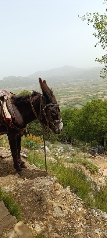 Jeep Tour to Lasithi Plateau, Zeus Cave, Olive Oil Factory