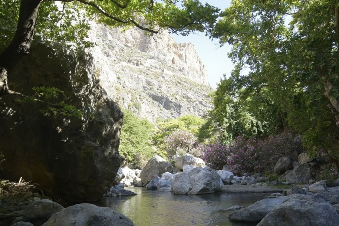 Private Kourtaliotis Gorge Trekking Adventure
