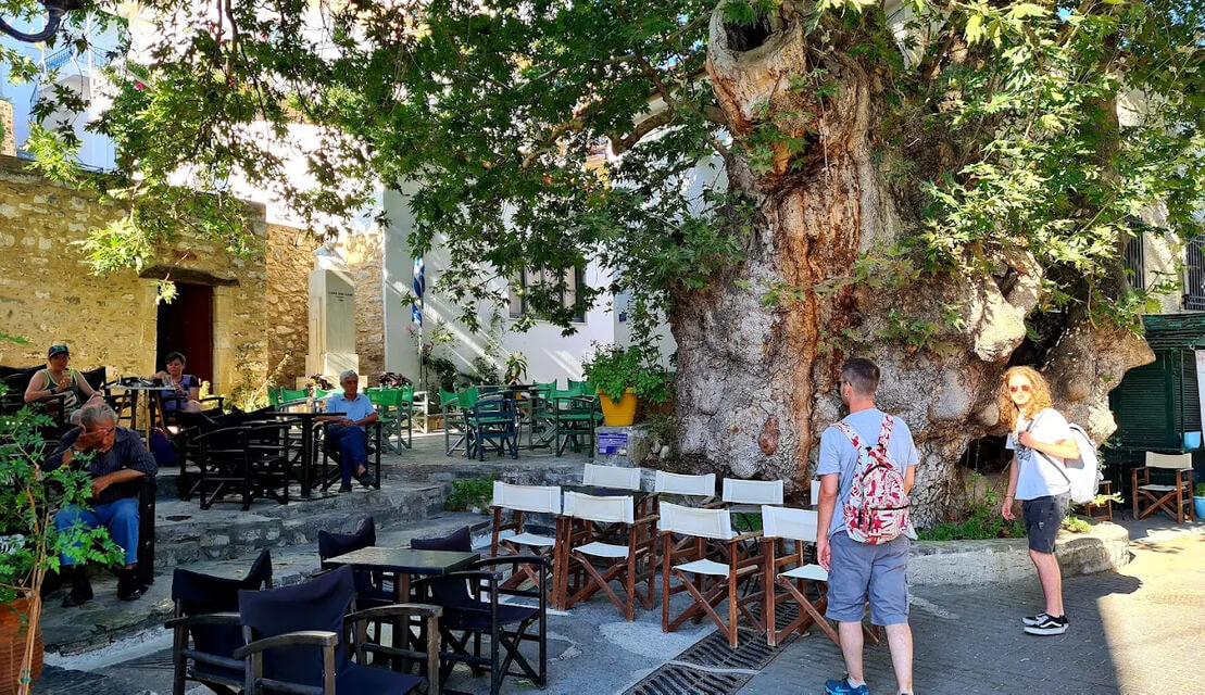 Private Jeep Tour to Viannos, Omalos Forest & Myrtos Beach