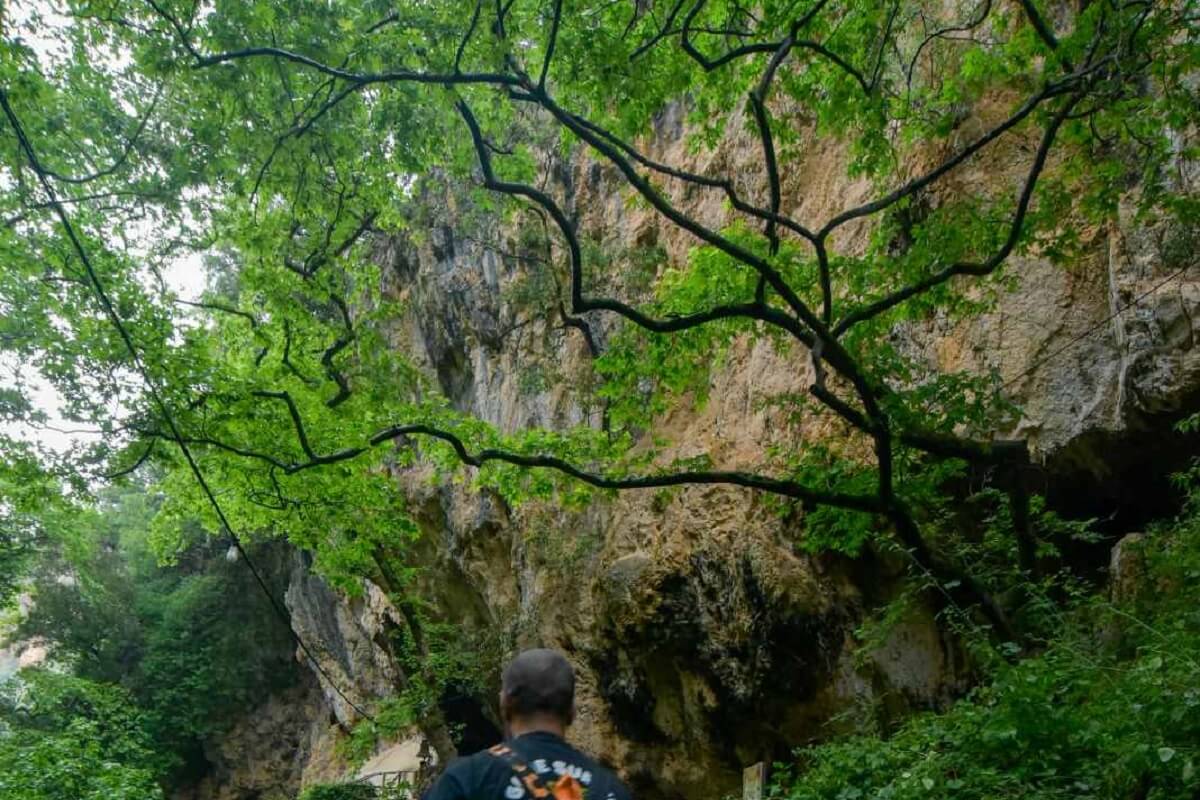 Private Patsos Gorge Trekking Adventure