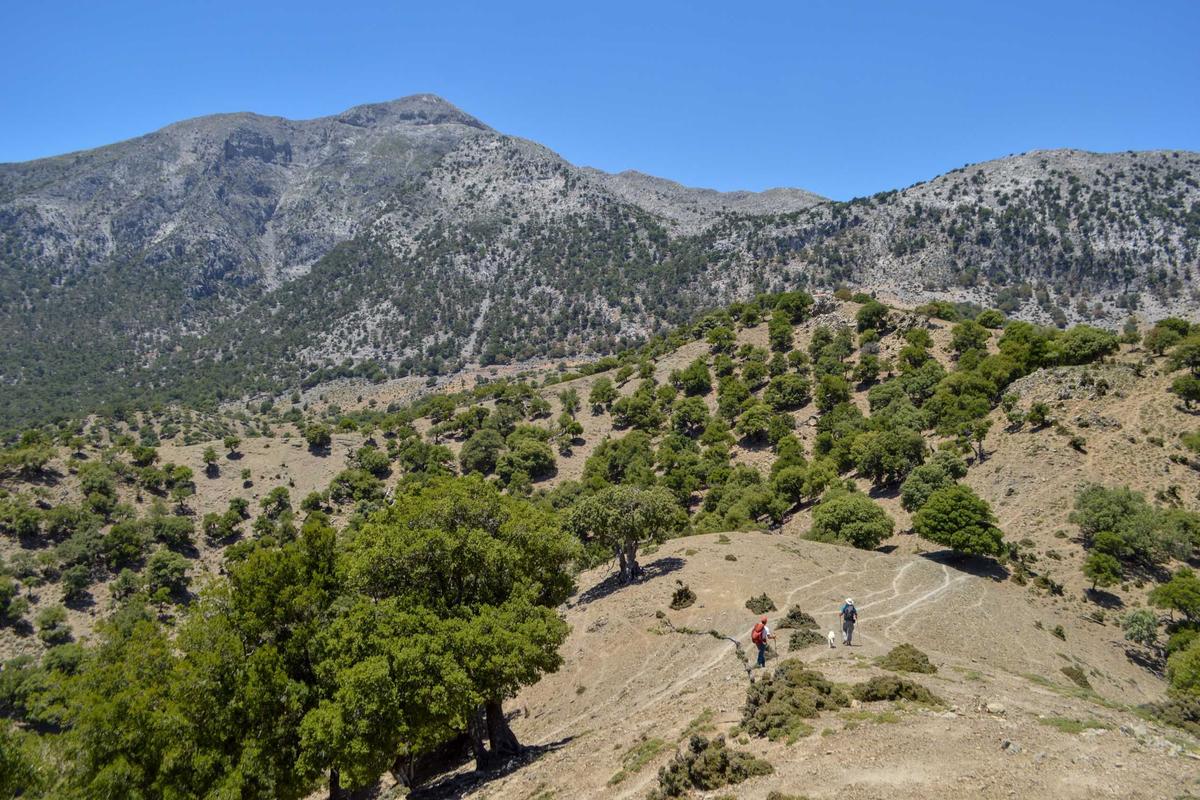 Private Trekking Rouvas Gorge